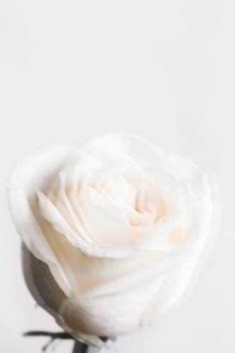 chriselle_lim_monday_friday_oils-4