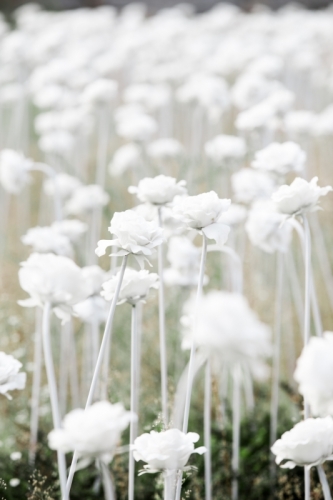 white_flower-1